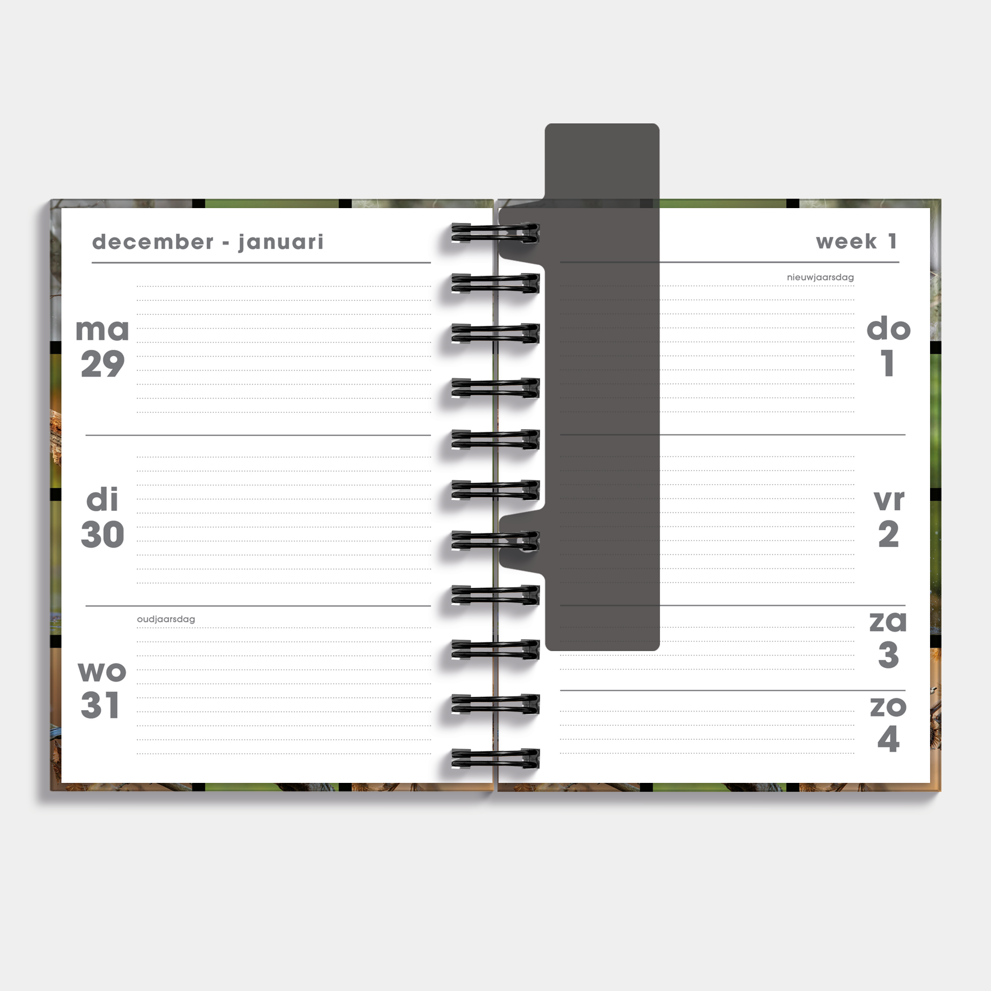 RINGBAND AGENDA 2026 A6 VOGELS
