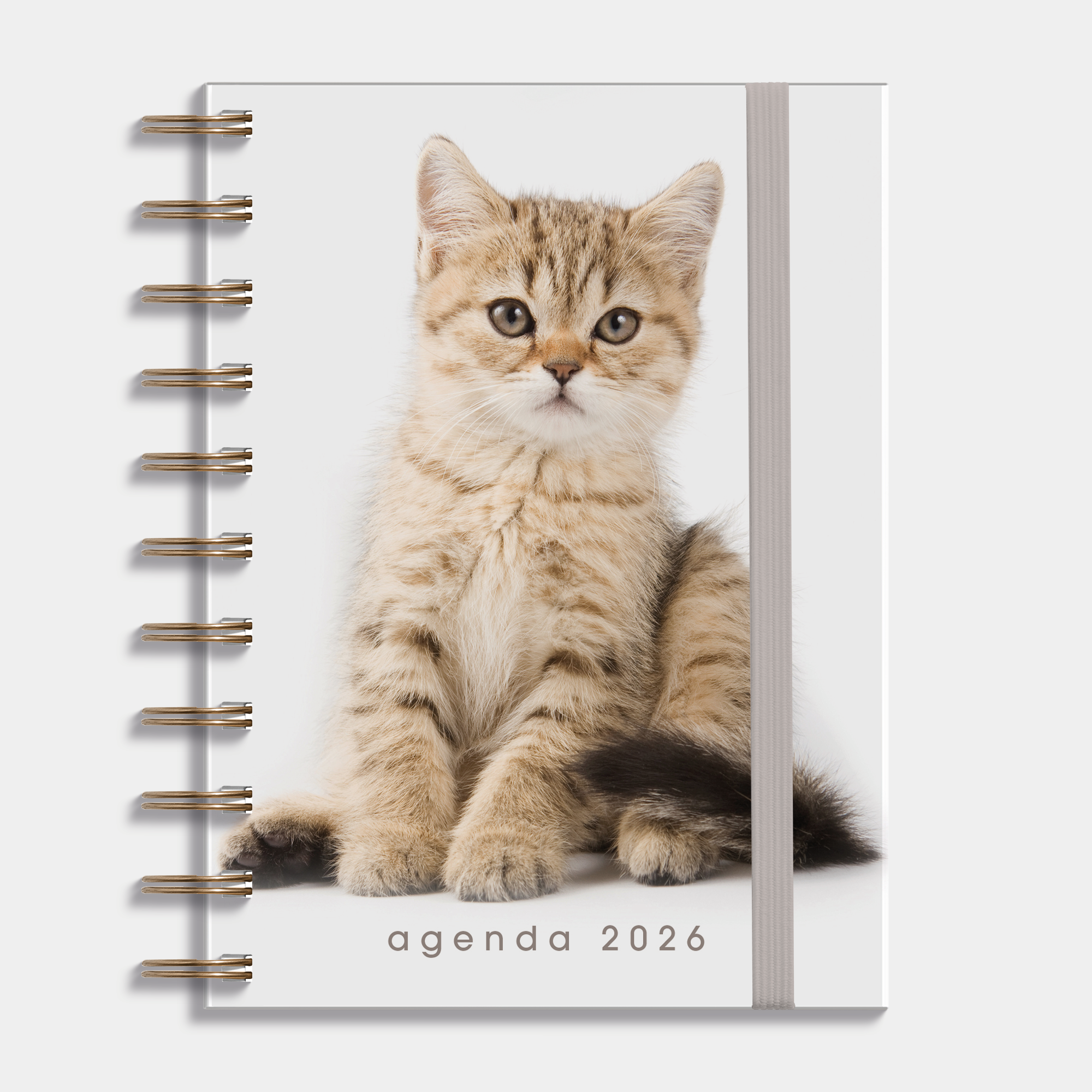 RINGBAND AGENDA 2026 A6 KATTEN