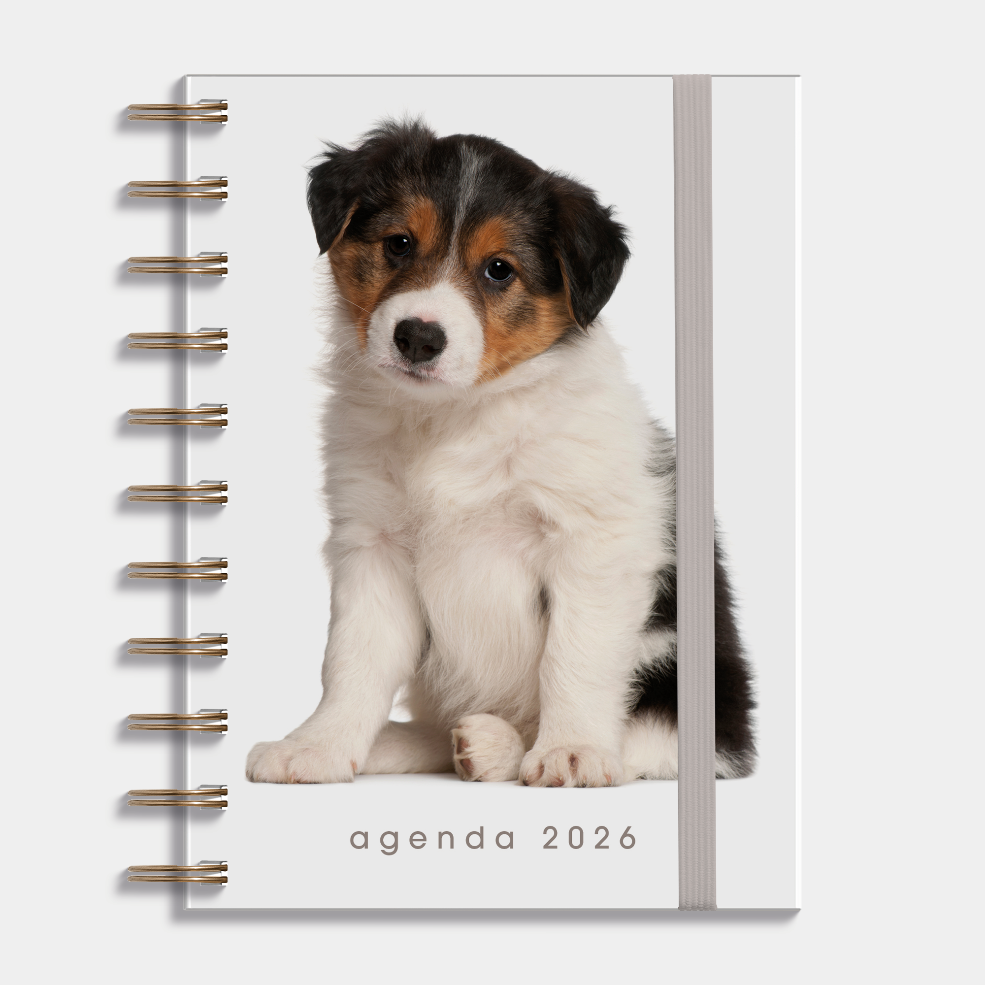 RINGBAND AGENDA 2026 A6 HONDEN