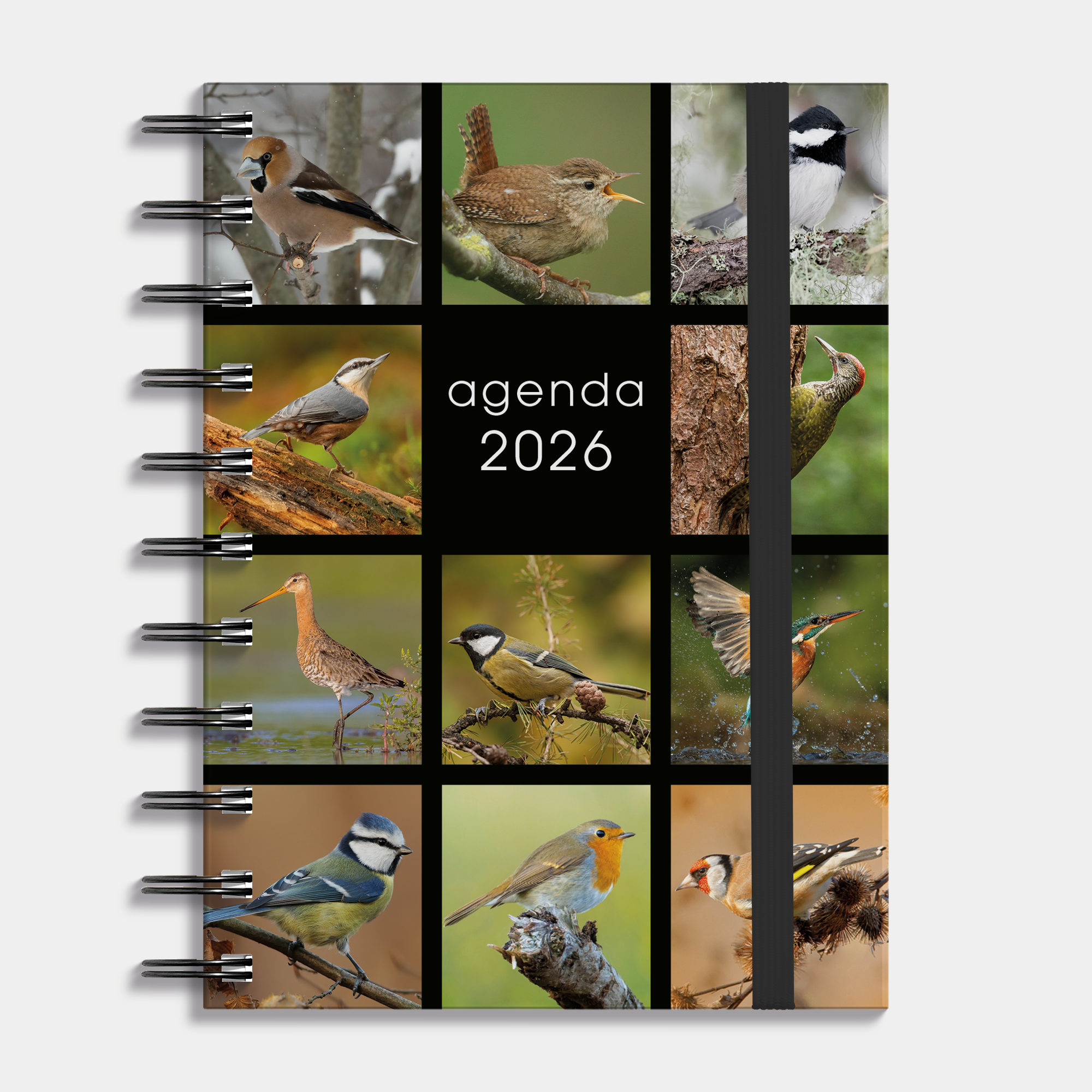 RINGBAND AGENDA 2026 A6 VOGELS